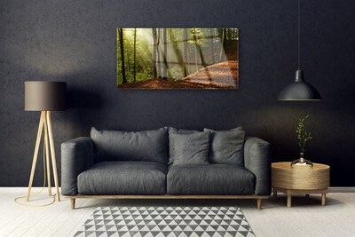 Obraz Akrylowy Las Drzewa Przyroda