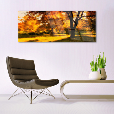 Obraz Akrylowy Drzewa Jesień Przyroda