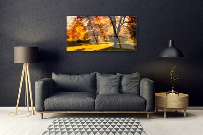 Obraz Akrylowy Drzewa Jesień Przyroda