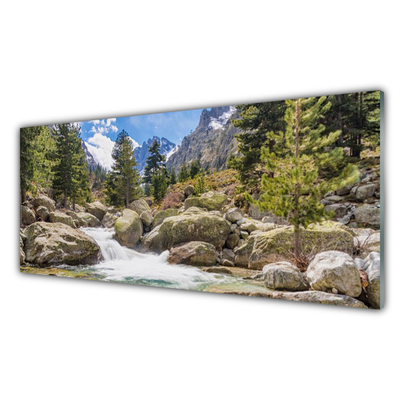 Obraz Akrylowy Góra Las Kamienie Rzeka
