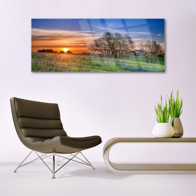 Obraz Akrylowy Łąka Słońce Krajobraz