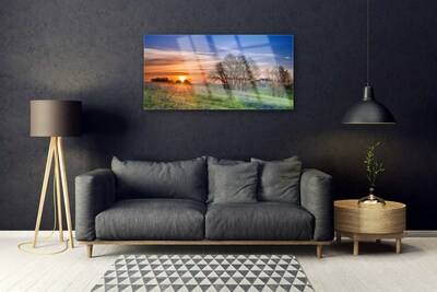Obraz Akrylowy Łąka Słońce Krajobraz