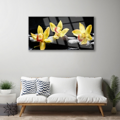 Obraz Akrylowy Kwiat Orchidea Roślina