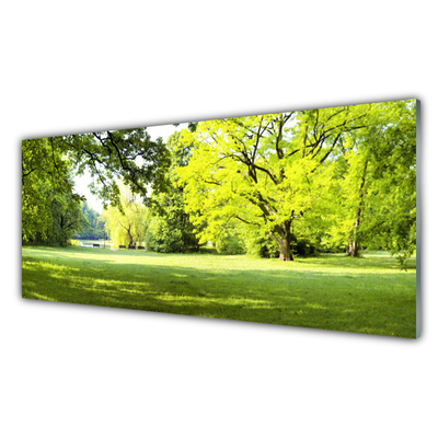 Obraz Akrylowy Trawa Drzewa Park Przyroda