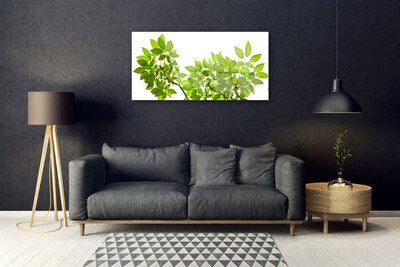 Obraz Akrylowy Gałąź Liście Roślina Natura