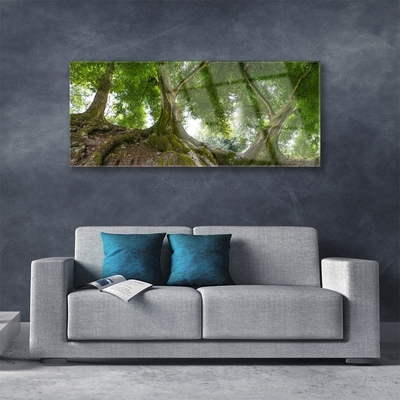 Obraz Akrylowy Drzewa Roślina Natura