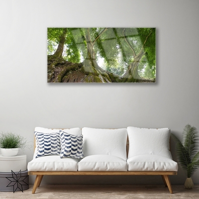 Obraz Akrylowy Drzewa Roślina Natura