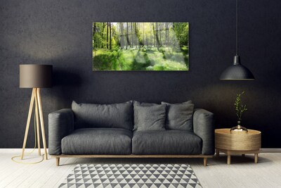 Obraz Akrylowy Las Trawa Roślina Natura