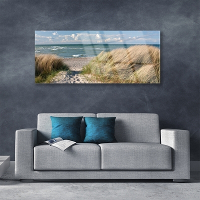 Obraz Akrylowy Plaża Morze Trawa Krajobraz