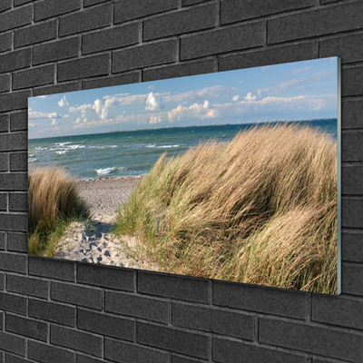 Obraz Akrylowy Plaża Morze Trawa Krajobraz