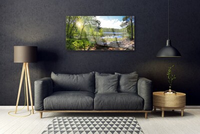 Obraz Akrylowy Las Drzewa Jezioro Przyroda