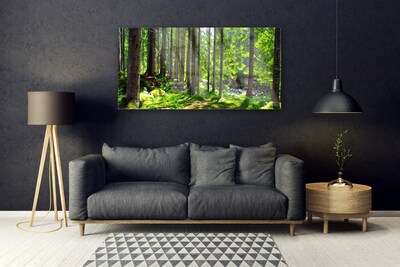 Obraz Akrylowy Las Drzewa Roślina Natura