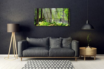 Obraz Akrylowy Las Drzewa Roślina Natura