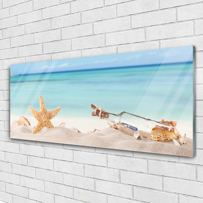 Obraz Akrylowy Rozgwiazda Muszle Plaża
