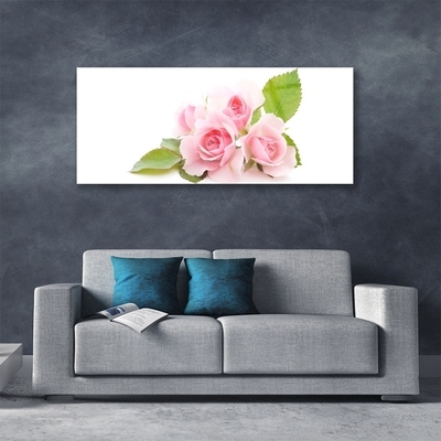Obraz Akrylowy Róże Kwiaty Roślina Natura