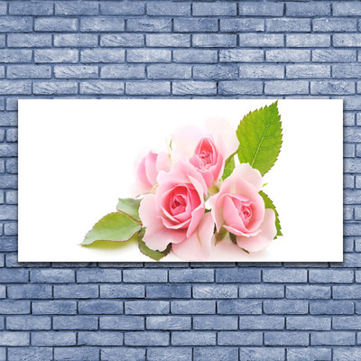 Obraz Akrylowy Róże Kwiaty Roślina Natura
