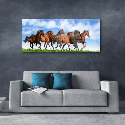 Obraz Akrylowy Konie w Galopie na Pastwisku