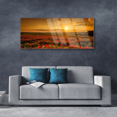 Obraz Akrylowy Pole Maki Zachód Słońca Łąka