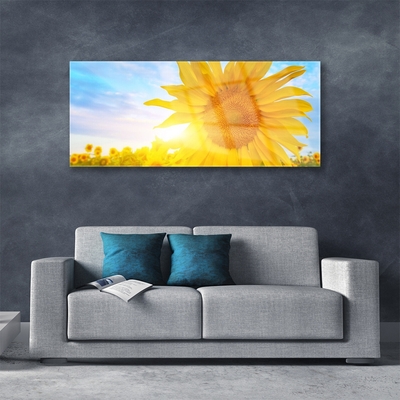 Obraz Akrylowy Słonecznik Kwiat Słońce