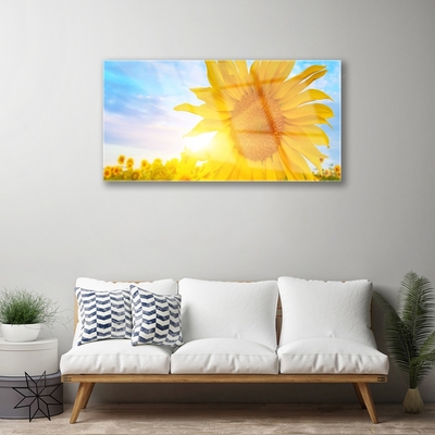 Obraz Akrylowy Słonecznik Kwiat Słońce