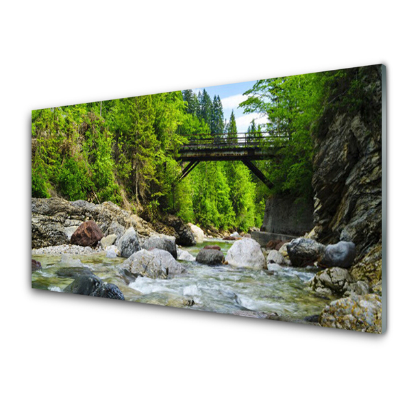 Obraz Akrylowy Drewniany Most w Lesie