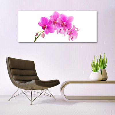 Obraz Akrylowy Storczyk Kwiat Orchidea