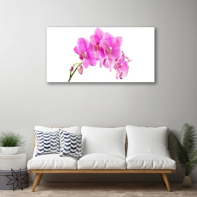 Obraz Akrylowy Storczyk Kwiat Orchidea
