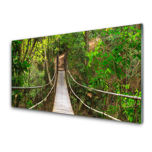 Obraz Akrylowy Most Dżungla Las Tropikalny