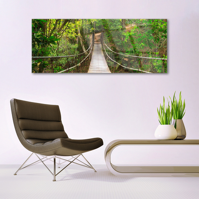 Obraz Akrylowy Most Dżungla Las Tropikalny