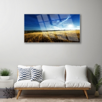 Obraz Akrylowy Pole Zboże Słońce Krajobraz