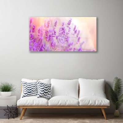 Obraz Akrylowy Lawendowe Pole Słońce Kwiaty