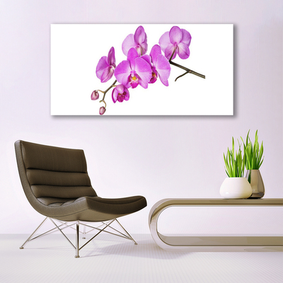 Obraz Akrylowy Storczyk Orchidea Kwiaty