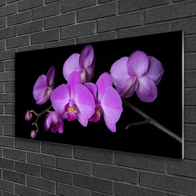 Obraz Akrylowy Storczyk Orchidea Kwiaty