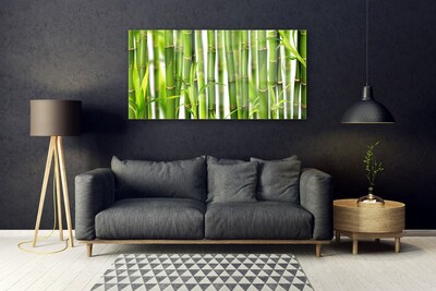 Obraz Akrylowy Bambusowe Pędy Liście Bambus