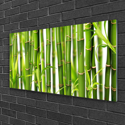 Obraz Akrylowy Bambusowe Pędy Liście Bambus
