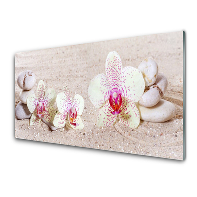 Obraz Akrylowy Storczyk Orchidea Piasek