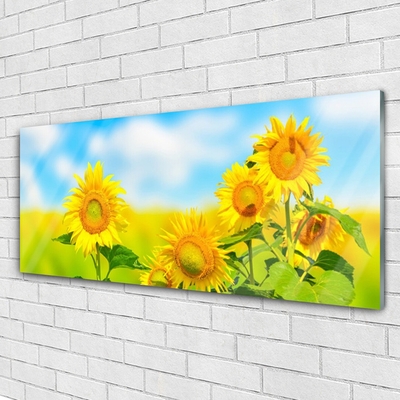 Obraz Akrylowy Słonecznik Kwiaty Natura