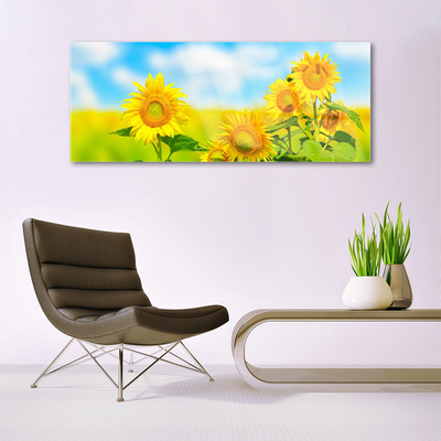 Obraz Akrylowy Słonecznik Kwiaty Natura