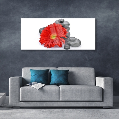 Obraz Akrylowy Kwiaty Czerwona Gerbera