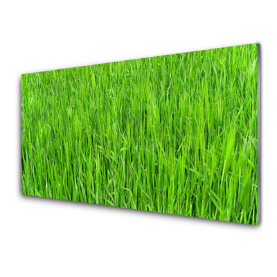 Obraz Akrylowy Zielona Trawa Natura Murawa