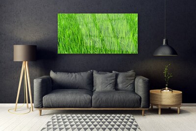 Obraz Akrylowy Zielona Trawa Natura Murawa