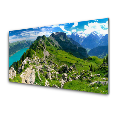 Obraz Akrylowy Łąka Góry Krajobraz Natura