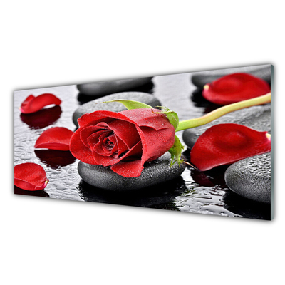 Obraz Akrylowy Czerwona Róża Kwiat