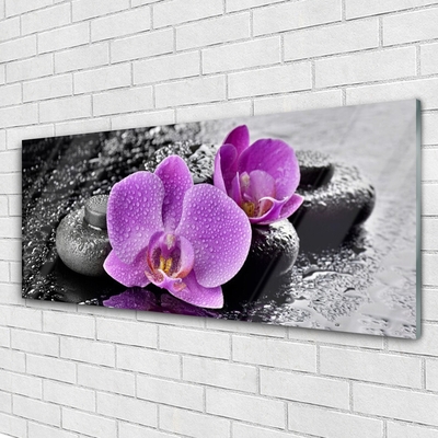 Obraz Akrylowy Storczyk Kwiaty Orchidea Spa