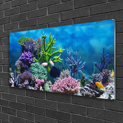 Obraz Akrylowy Akwarium Rybki Pod Wodą