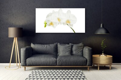 Obraz Akrylowy Storczyk Pędy Kwiaty Natura