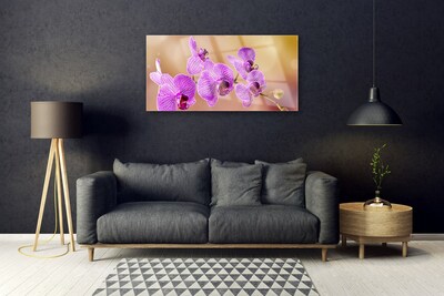 Obraz Akrylowy Storczyk Pędy Kwiaty Natura