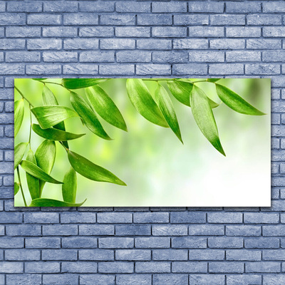 Obraz Akrylowy Zielone Liście Natura