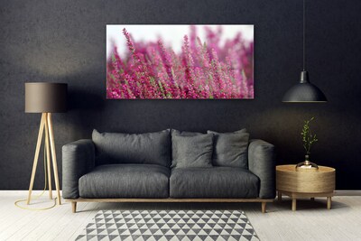 Obraz Akrylowy Kwiaty Łąka Natura Roślina