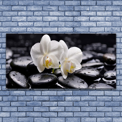 Obraz Akrylowy Zen Biały Storczyk Spa